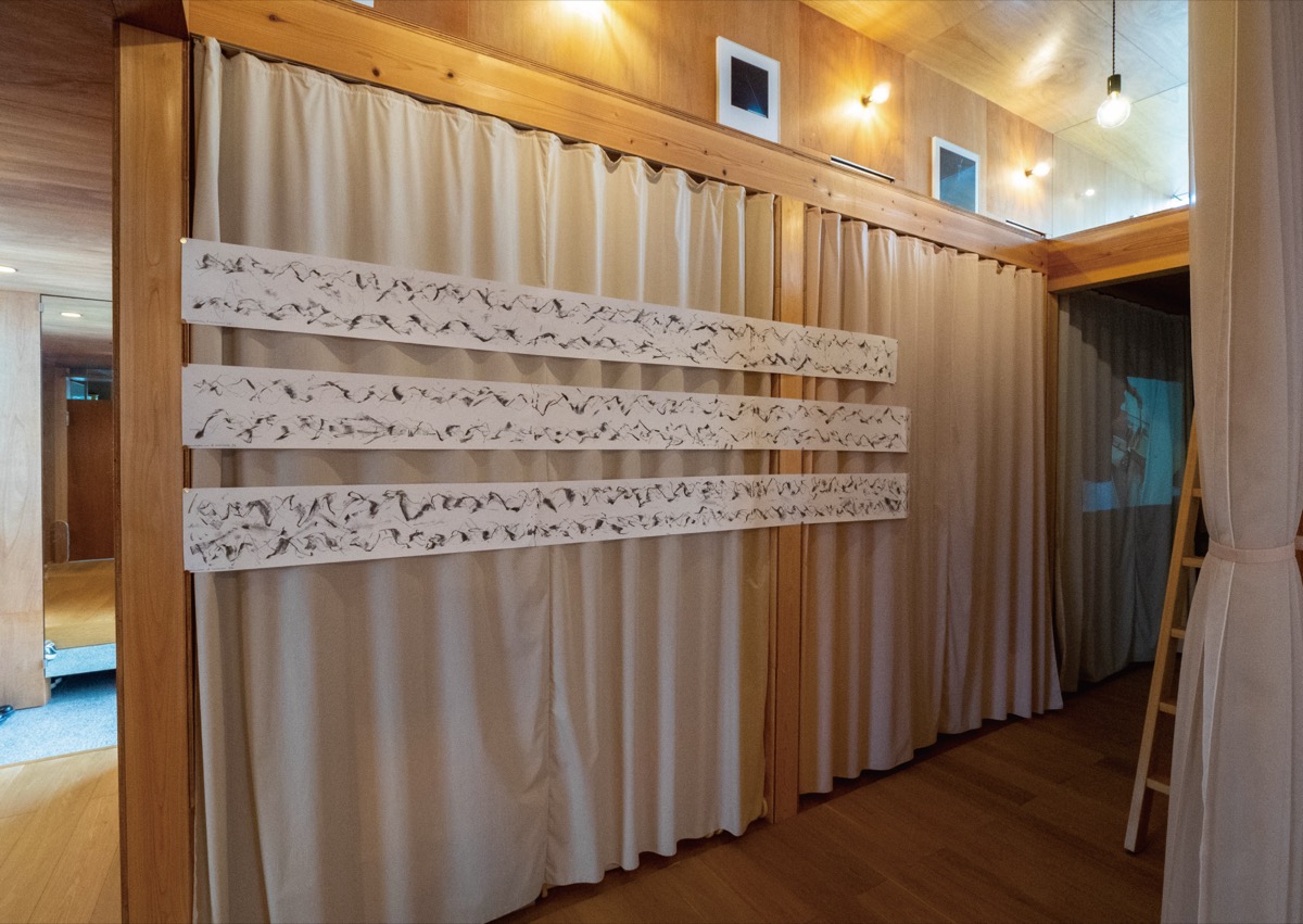 Accumulations of Transitions / 遷移の集積