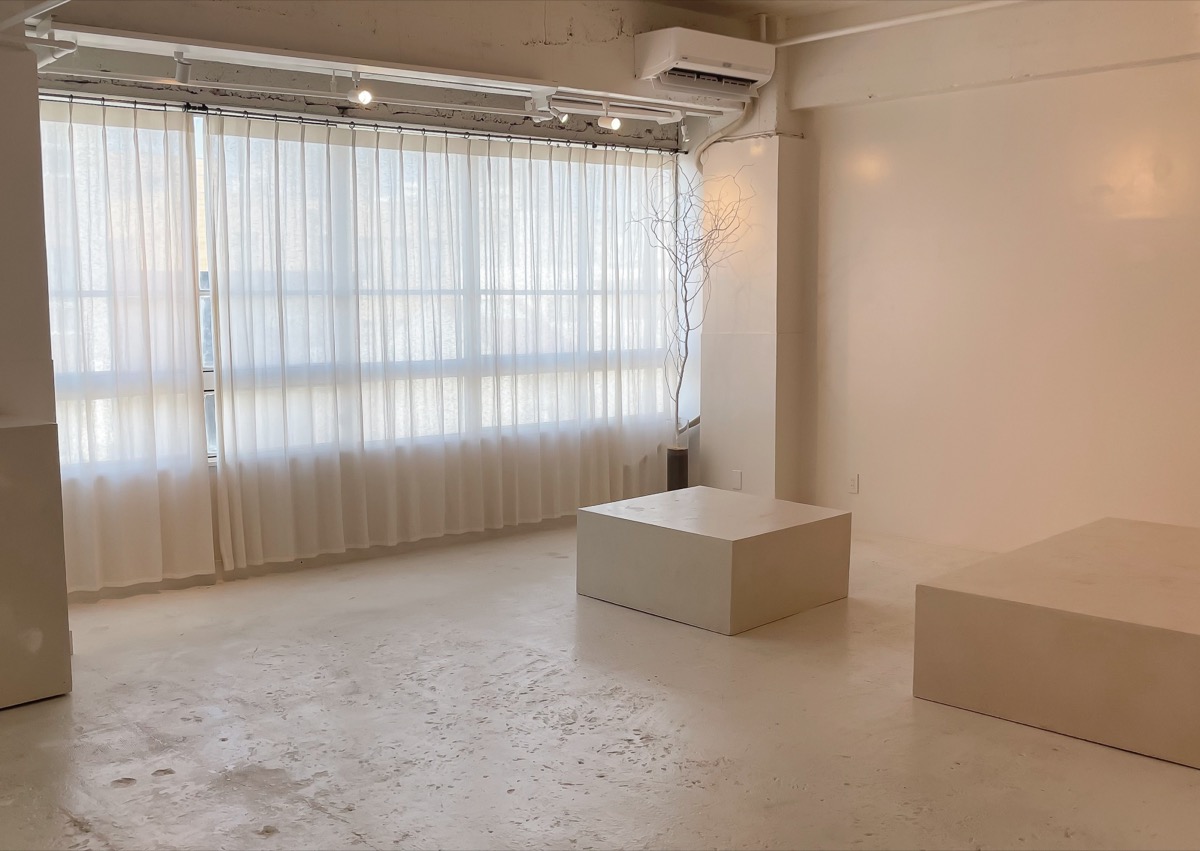 gallery nau